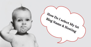 how to select domain name hosting