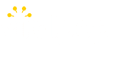 Viralpep